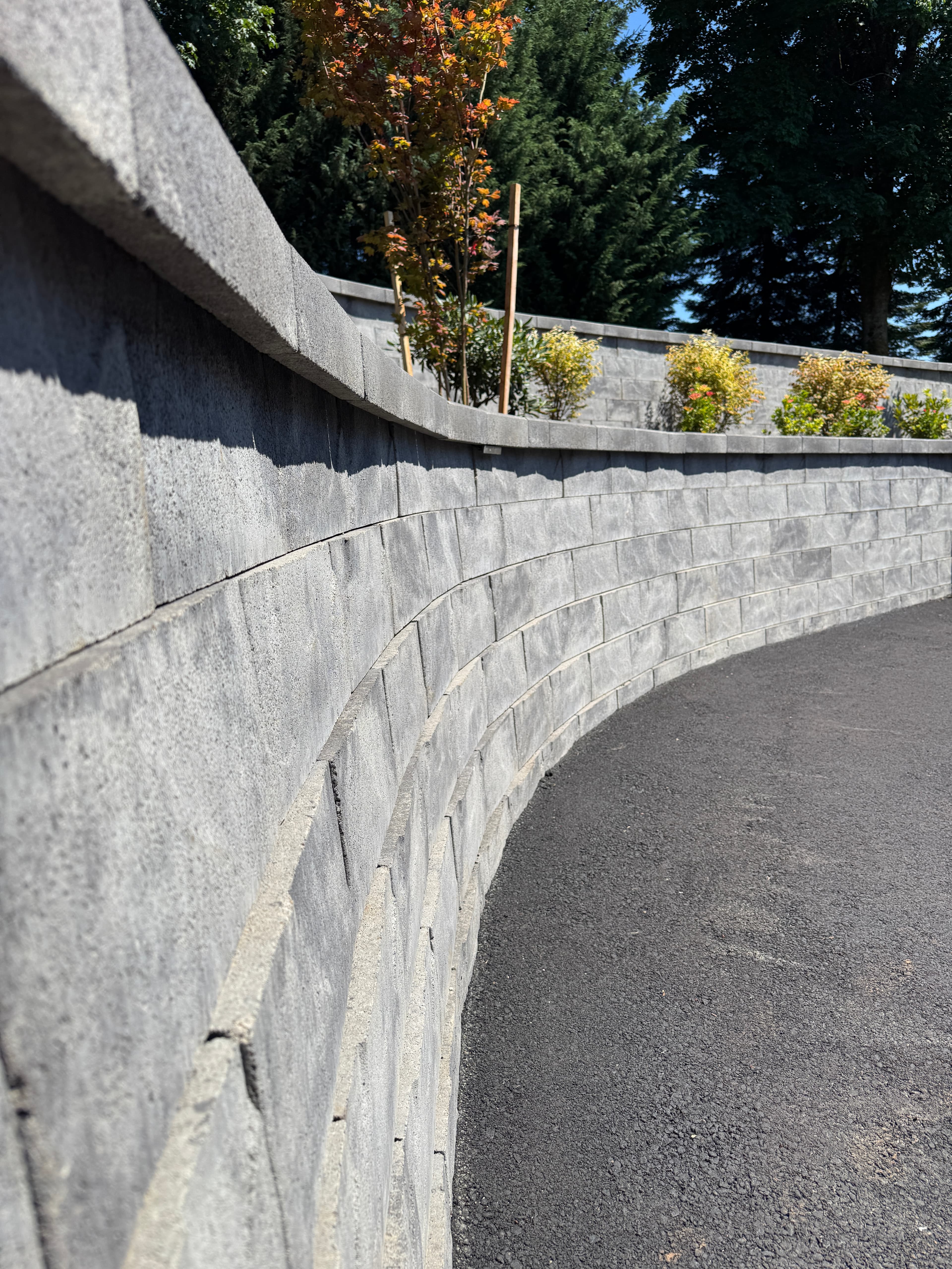 AB Europa Collection Versatility